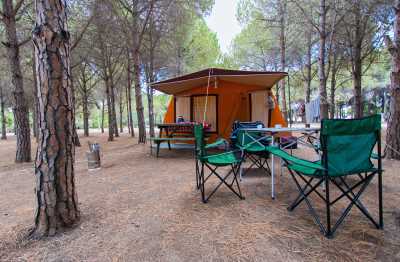 Didim Tavşanburnu Orman Parkı 